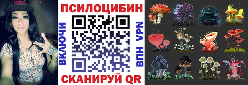 Псилоцибиновые грибы Psilocybe  площадка Telegram  ОМГ ОМГ рабочий сайт  Приозерск  цены наркотик 